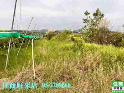 售台南市東山區東山吉貝耍大排農地農地175萬